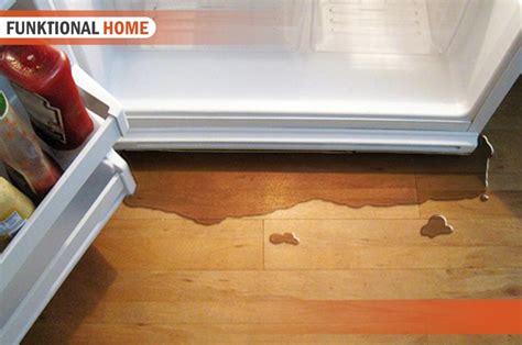 frigidaire refrigerator water leaking underneath|Frigidaire Refrigerator leaking water: Causes + Fixes